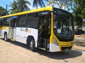 Cruz das Almas ganha nova linha de ônibus; confira itinerário e horários