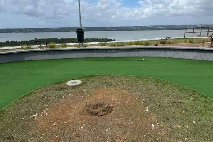 Muda de Ipê recém-plantada é furtada do Mirante da Santa Amélia, em Maceió
