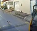Cachorro é atropelado por ônibus escolar em Marechal Deodoro; veja o vídeo