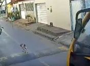 Cachorro é atropelado por ônibus escolar em Marechal Deodoro; veja o vídeo