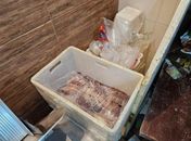 Ambiente insalubre, baratas e carne estragada: Visa interdita açougue no Farol