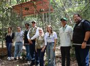 Papagaios-do-mangue e jabutis chegam a Alagoas com missão de contribuir para refaunação e replantio de florestas em área de Mata Atlântica