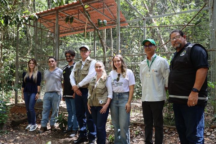 Papagaios-do-mangue e jabutis chegam a Alagoas com missão de contribuir para refaunação e replantio de florestas em área de Mata Atlântica
