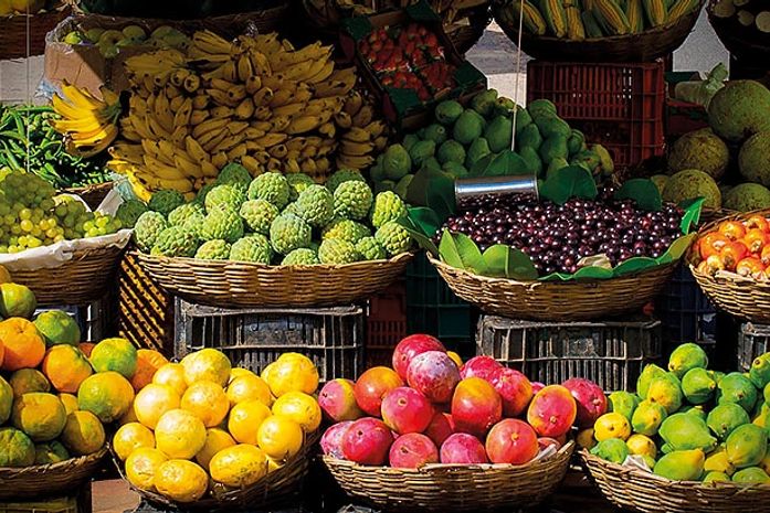 Feira agroecológica acontece neste fim de semana na parte alta de Maceió; confira programação
