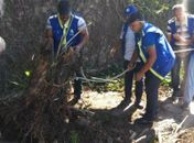 Após denúncia, fiscalização desobstruiu a calçada.