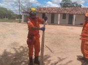 Corpo de Bombeiros captura cobra com mais de dois metros