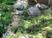 FPI descobre despejo de esgoto dentro de Parque ecológico em  Piranhas