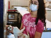 "Sacrificar não é solução", alerta Teca Nelma sobre causa animal