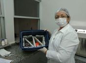 Arapiraca adere  nova campanha de doação de leite materno