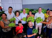 Transformação no campo: Arapiraca amplia Cinturão Verde e gera mais empregos e renda no meio rural

