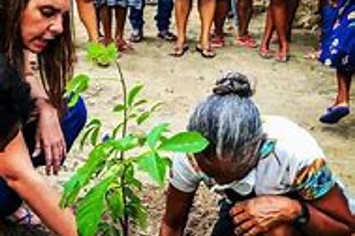 O Wikipedia-Brasil afirma que em Alagoas só existe um único exemplar de Baobá. Ôxe, Jó Pereira e ALURB precisamos corrigir essa informação