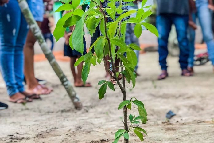 Em 2017,essa ativista apresentou o projeto "Um Quilombo de Baobás", ao IMA. Nada aconteceu. Em 2021 a deputada Jó Pereira topou a missão