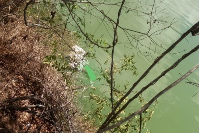 Corpo de homem é encontrado em lago no município de Arapiraca