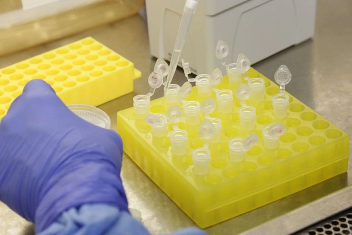 Casos de síndrome respiratória aguda crescem com menos intensidade