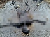 Corpo encontrado em estado avançado de decomposição