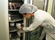 Sem sangue A, B e O Negativos, Hemoal apela por doações