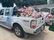 Operação policial interdita abate clandestino