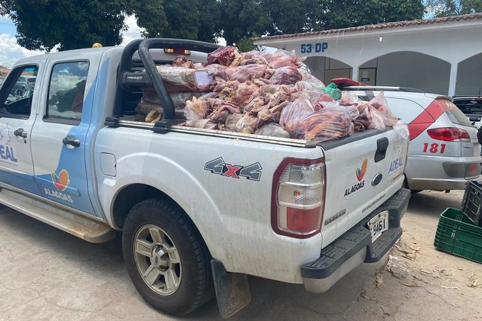 Operação policial interdita abate clandestino