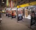 Exposição mostra importância da representação de pessoas com deficiência na arte e esporte