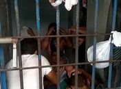 Superlotação na Central de Polícia de Arapiraca 