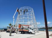 Árvore no marco dos corais