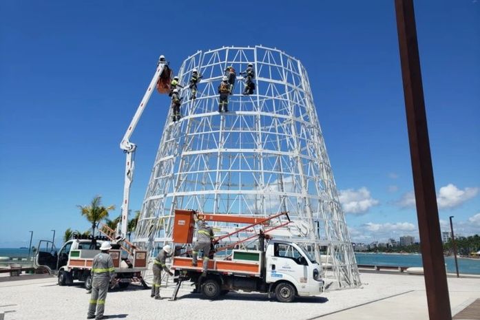 Árvore no marco dos corais