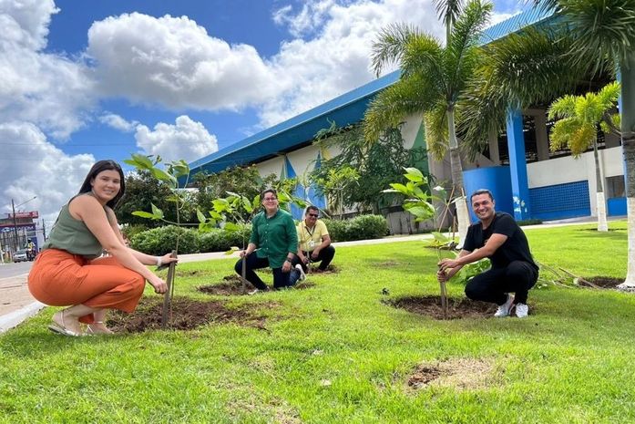 Dia do Meio Ambiente será comemorado em Arapiraca com plantio de arvores e instalação de novas lixeiras