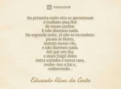 Dentre as muitas funções da palavra,a que esta ativista, mais se agrada é a função politica. E tu?