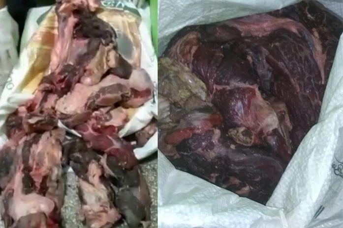 Vigilância sanitária apreende mais de 120 kg de carne estragada em Arapiraca