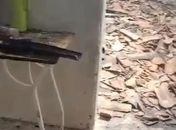Mulher sofre ameaça de morte e tem casa incendiada por ex-companheiro no Sertão alagoano