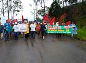 Trabalhadores rurais fazem protesto na BR-104 em União dos Palmares