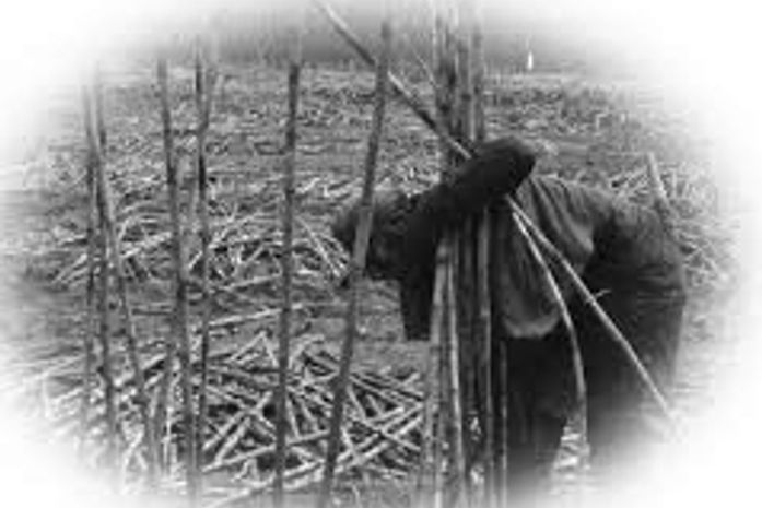 Foi a mãe que a ajudou a transpor todas as pontes e chegar a esse mundo novo que hoje habita.