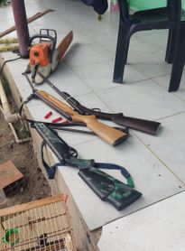 Operação Protetor dos Biomas intensifica combate aos crimes ambientais em Alagoas