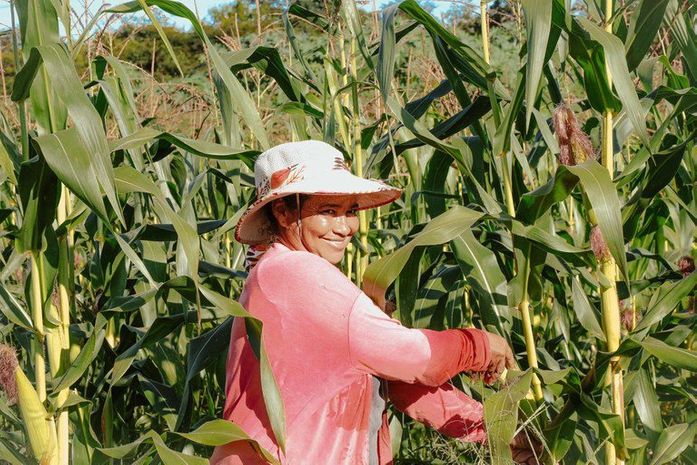 Governo abre edital para interessados no Programa de Aquisição de Alimentos (PAA)