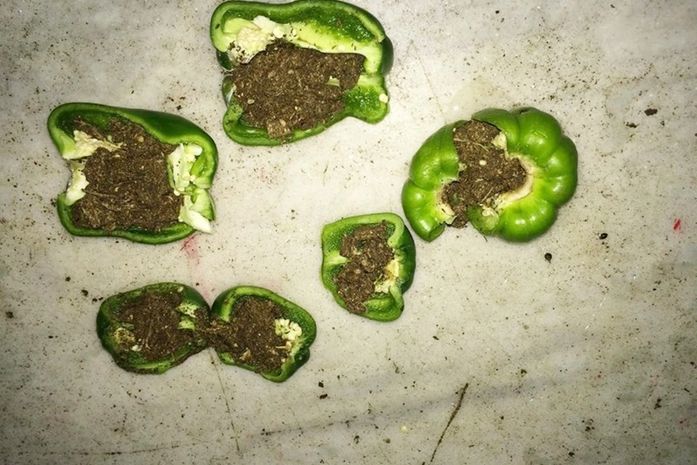 Homem é preso tentando entregar pimentões recheados com maconha a detento