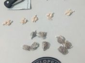Parte da droga apreendida