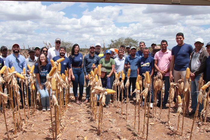 Dia de campo mostra resultados de produtor da CPLA com uso de biotecnologia do Prospera