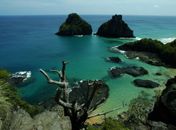 Fernando de Noronha receberá apenas turistas que já tiveram covid-19