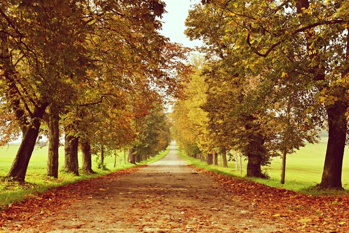 Outono chega a Alagoas nesta quinta-feira e traz queda nas temperaturas