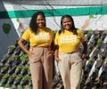 Duas irmãs, um propósito: como elas transformaram um projeto universitário em negócio de impacto socioambiental em AL
