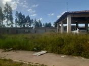 Conjunto residencial é a imagem do descaso e do desperdício do dinheiro público em Palmeira 