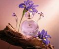 Com ingrediente raro da perfumaria internacional, O Boticário redefine o amadeirado feminino no lançamento de Liz D'Essence