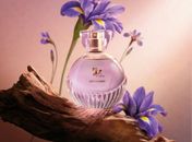 Com ingrediente raro da perfumaria internacional, O Boticário redefine o amadeirado feminino no lançamento de Liz D'Essence