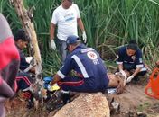 Condutor de moto cai em ribanceira após sobrar em curva na AL 105