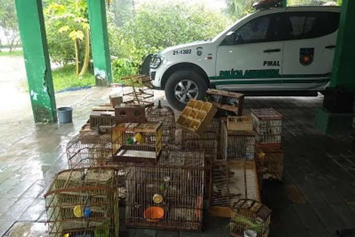 Mais de 110 animais são resgatados durante fiscalização