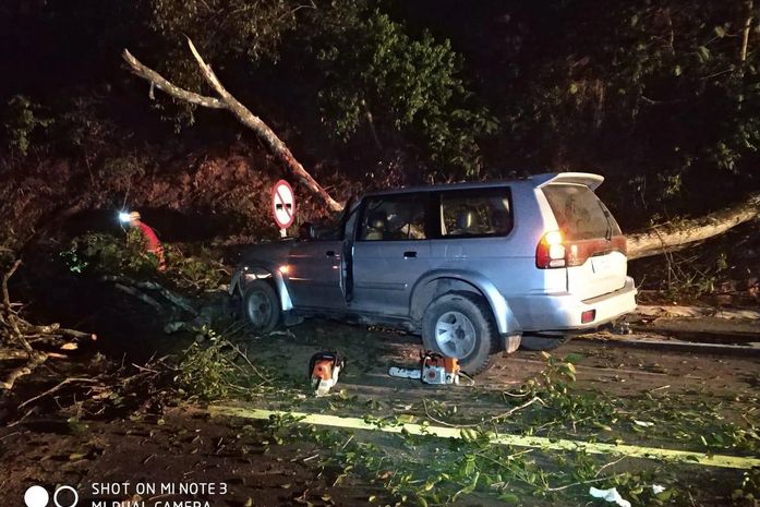 Queda de árvore em rodovia deixa passageiros de veículos feridos; um em estado grave