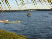 Ação nacional irá monitorar águas do Velho Chico neste final de semana em Penedo