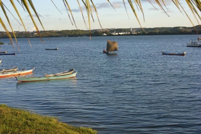 Ação nacional irá monitorar águas do Velho Chico neste final de semana em Penedo