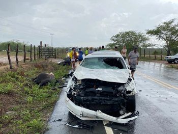 Rs=w:350,h:263,i:true,cg:true,ft:cover?cache=true