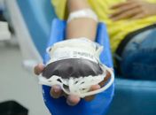 Portaria libera doação de sangue de pessoas com mais de 70 anos